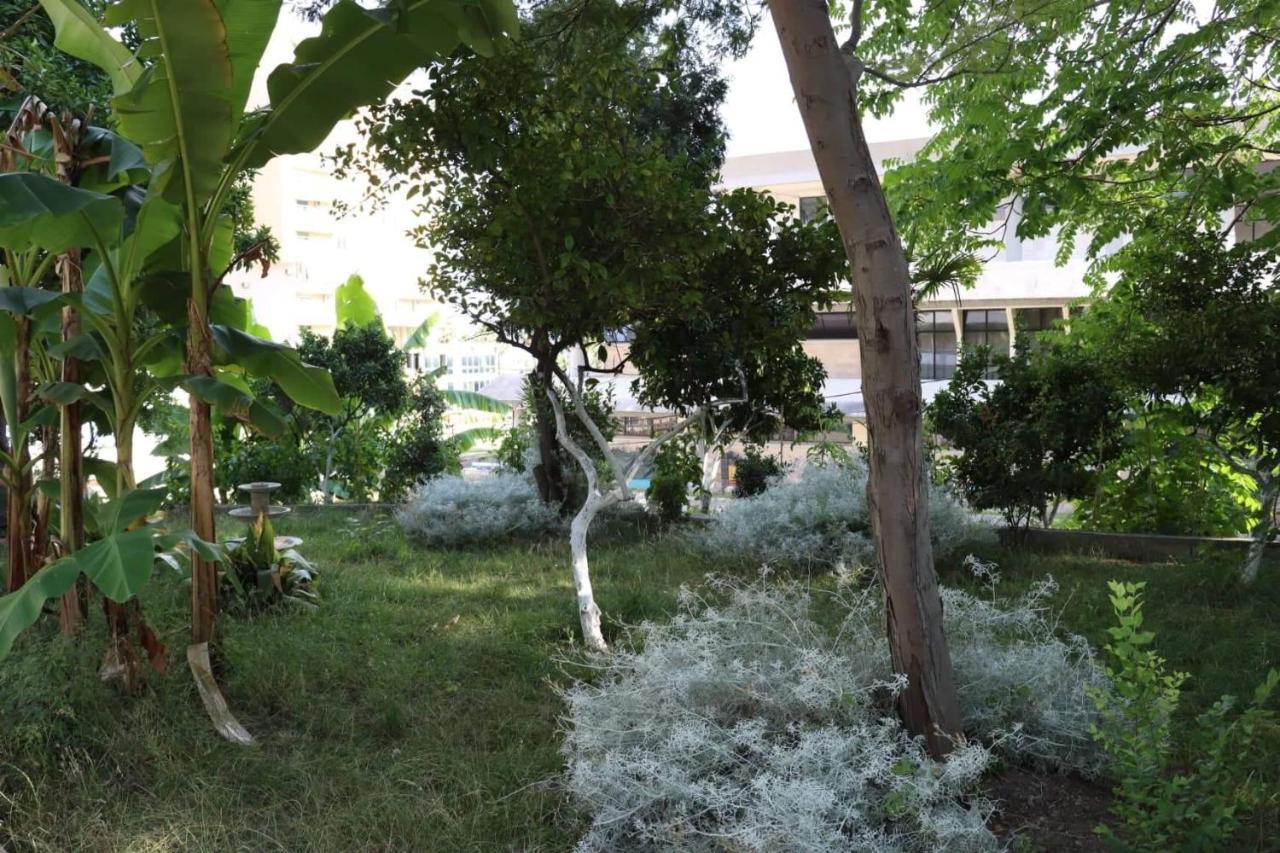 Hotel Ceka